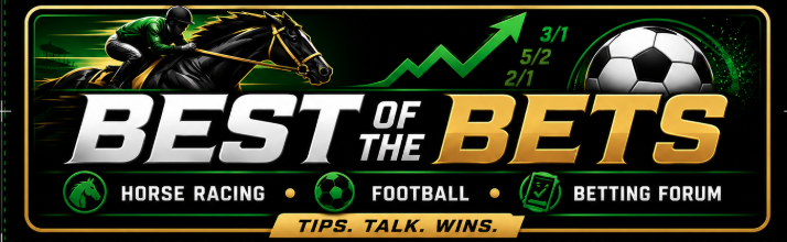 Best of the Bets 